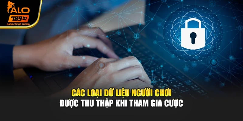 Các loại dữ liệu người chơi được thu thập khi tham gia cược