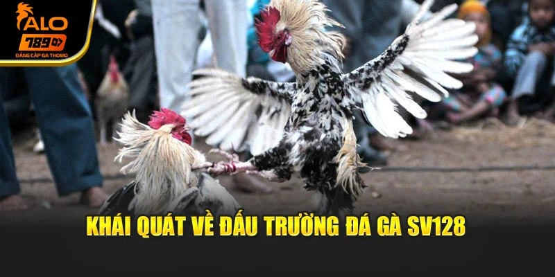 Khái quát về đấu trường đá gà SV128