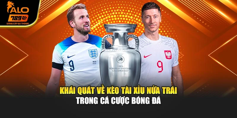 Khái quát về kèo tài xỉu nửa trái trong cá cược bóng đá