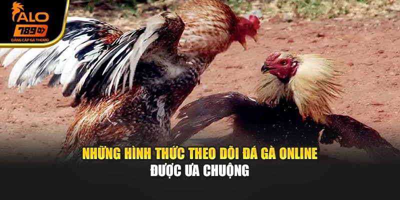 Những hình thức theo dõi đá gà online được ưa chuộng