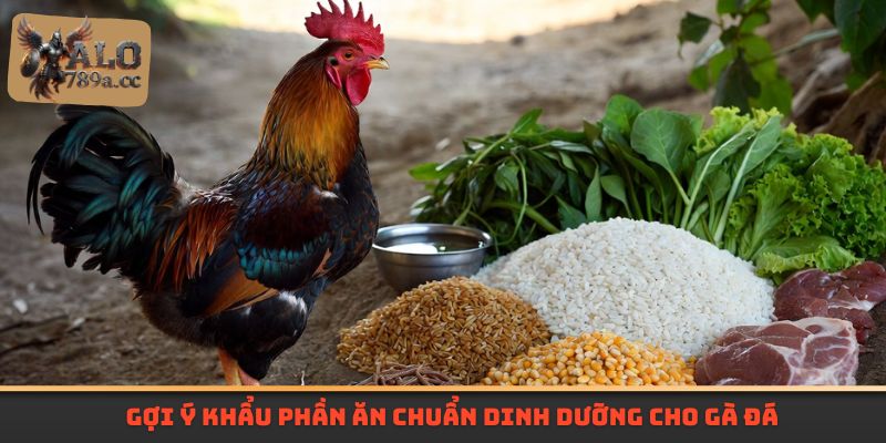 Gợi ý khẩu phần ăn chuẩn dinh dưỡng cho gà đá
