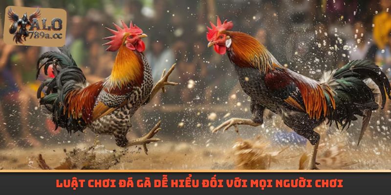 Luật chơi đá gà dễ hiểu đối với mọi người chơi
